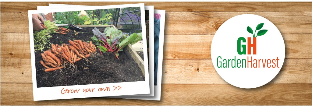 Grow Your Own