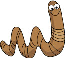 worm